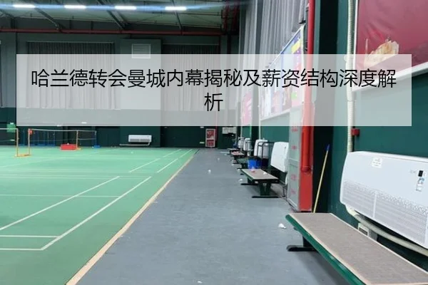 哈兰德转会曼城内幕揭秘及薪资结构深度解析